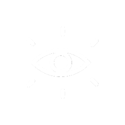 vision